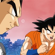 29. the Martial Arts Match Has Been Decided! the Team Captain Is Stronger Than Goku