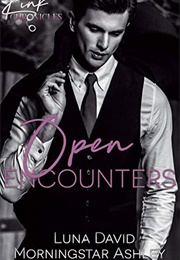 Open Encounters (Luna David)
