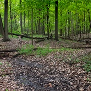 Fallen Timbers Battlefield Metropark