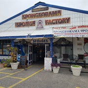 Spongeorama Sponge Factory