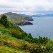 Ring of Beara