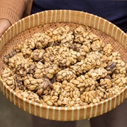 Kopi Luwak