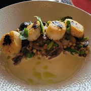 Pan-Seared Sea Scallops