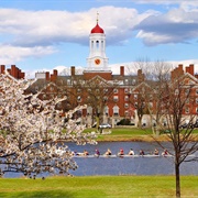 Harvard Square and Harvard Art Museums
