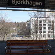 Björkhagen