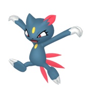 Sneasel (Female)