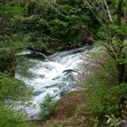 Nagasaka-Taki Waterfall, Nikko