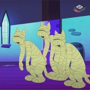 Mummy Cat (Wrap Star)