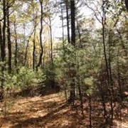 Huntington Reservation