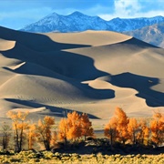 Great Sand Dunes National Park and Preserve
