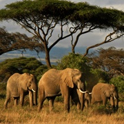 Digya National Park, Ghana