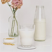 Pine Nut Milk