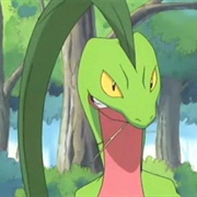 Ash's Grovyle