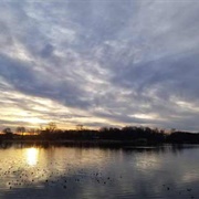 Jackson Bog State Nature Preserve