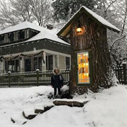 Little Free Library in a 110-Year-Old Tree Stump