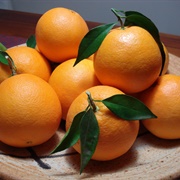 Valencia Orange in Valencia, Spain