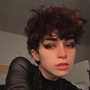 Addison Grace (Bisexual, Enby Trans Man, He/They)