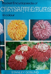 Chrysanthemums (Stanley Gosling)
