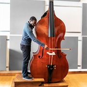 Octobass