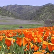 Berryessa Snow Mountain, CA (USFS & BLM)