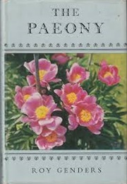 The Paeony (Roy Genders)