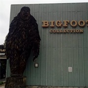 China Flat Museum Bigfoot Collection