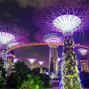 Garden Rhapsody Light Show, Singapore