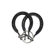 Metal Horseshoe Puzzle