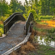 Sam Houston Jones State Park