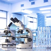 Discover a New Species