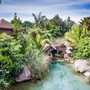 The Lost Spring, Whitianga, NZ