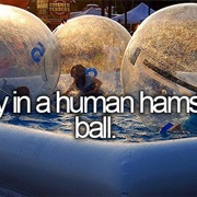 Play in a Human Hamster Ball