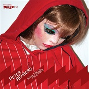 Peter Rehberg - Works for GV 2004-2008