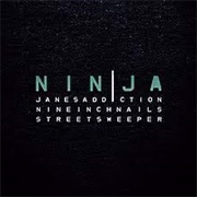 Various Artists - NINJA 2009 Tour Sampler