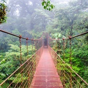 Monteverde Cloud Forest