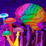 Can You Treat Mental Illness With Psychedelics?