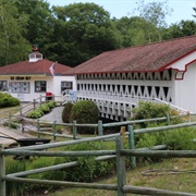 Kenneth E. Stoddard Shell Museum