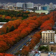 Valiasr Street, Tehran, Iran