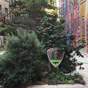 Tenderloin National Forest