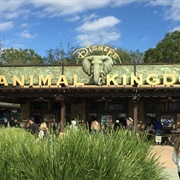 Animal Kingdom