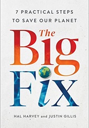 The Big Fix: 7 Practical Steps to Save Our Planet (Hal Harvey)