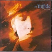The Triffids - Calenture (1987)
