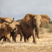 Chyulu Hills, Kenya