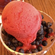 Seasonal No Sugar Added Sorbet