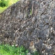 Talcott Basalt Lava Pillows