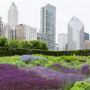 Lurie Gardens, Chicago