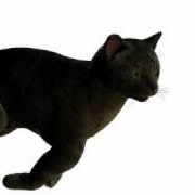 Fur Displacement Test