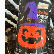 Northern Soda Company Pumpkin Spice Root Beer