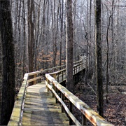 Big Hill Pond State Park, Tennessee