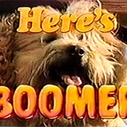 Here's Boomer